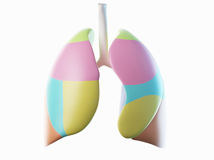 an artistic, colorful illustration of lungs