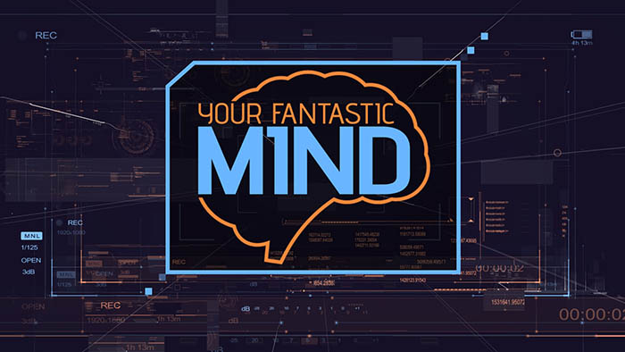 Your Fantastic Mind