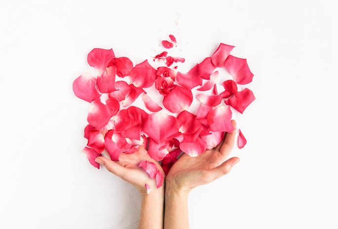 rose pedals expanding from hands in heart shaped pattern