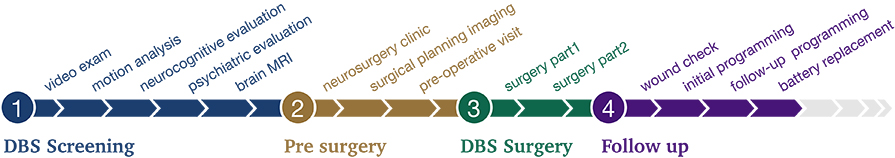 DBS Screening Process
