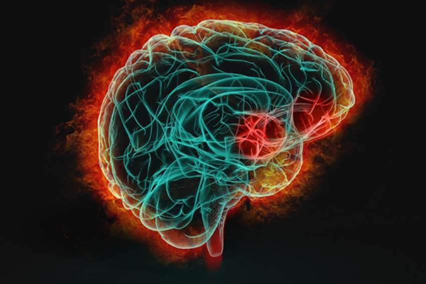 illuminated brain pathways