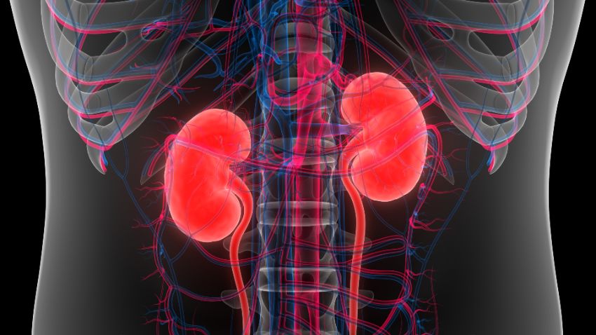 Multicenter clinical trial shows HIV-to-HIV kidney transplants to be safe, effective