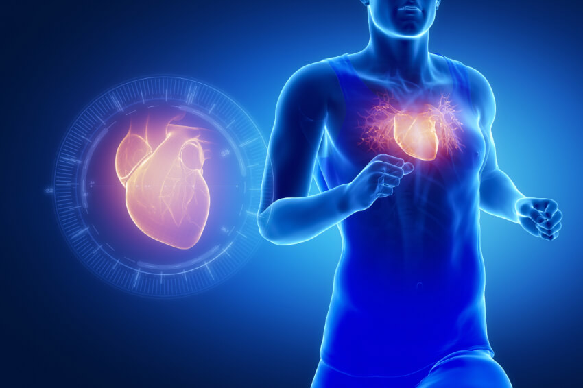 runner and X-ray of heart
